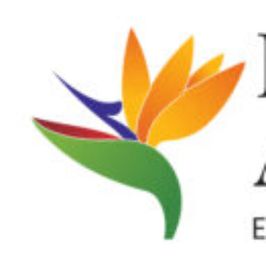 MenoHealth Academy logo